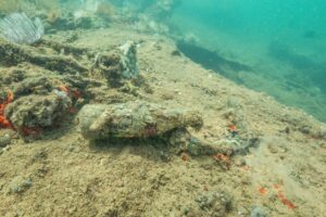 Coke bottle USS Arizona Wreckage