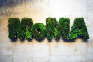 Greenery Letters Gallery