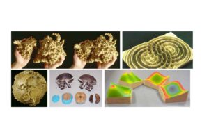 Examples of early 3D printed scientific models