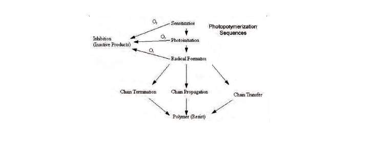 Photopolymerization Diagram