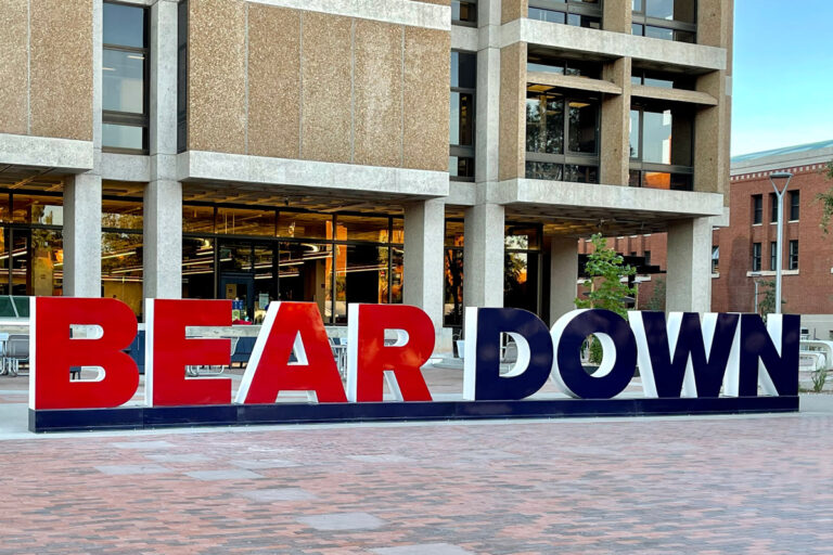 Bear Down - University of Arizona Metal Letters Left View