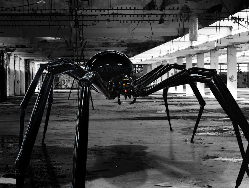 Black Widow Spider 3D prop