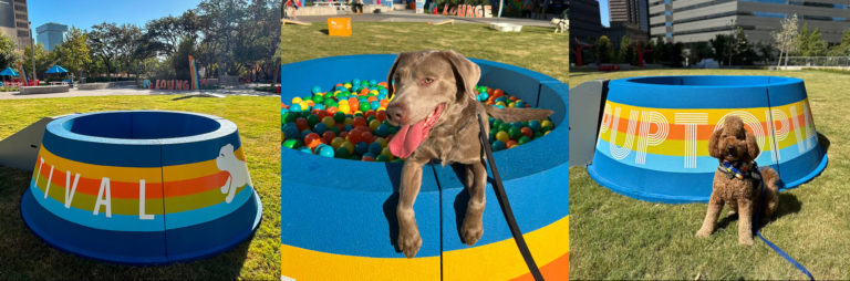 Supersized dog bowl display fabricated for a multi-location Puptopia Festival.