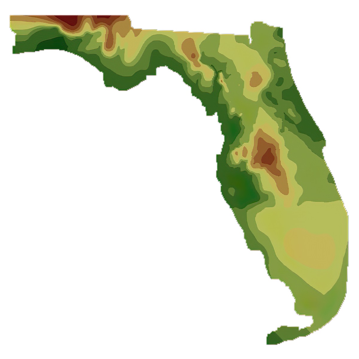 Florida Maps-Elevation Map