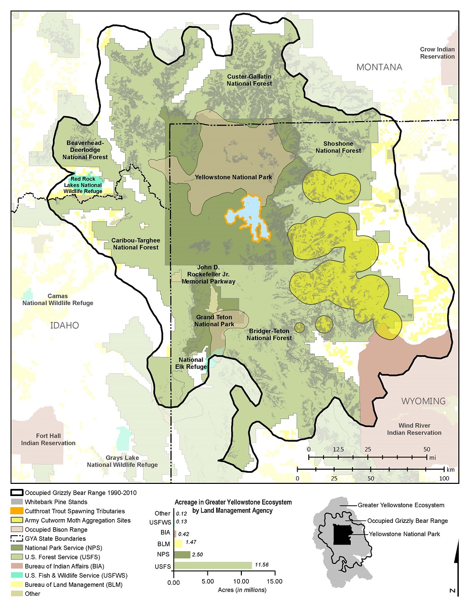 Yellowstone Maps-Wildlife Bear Occupancy