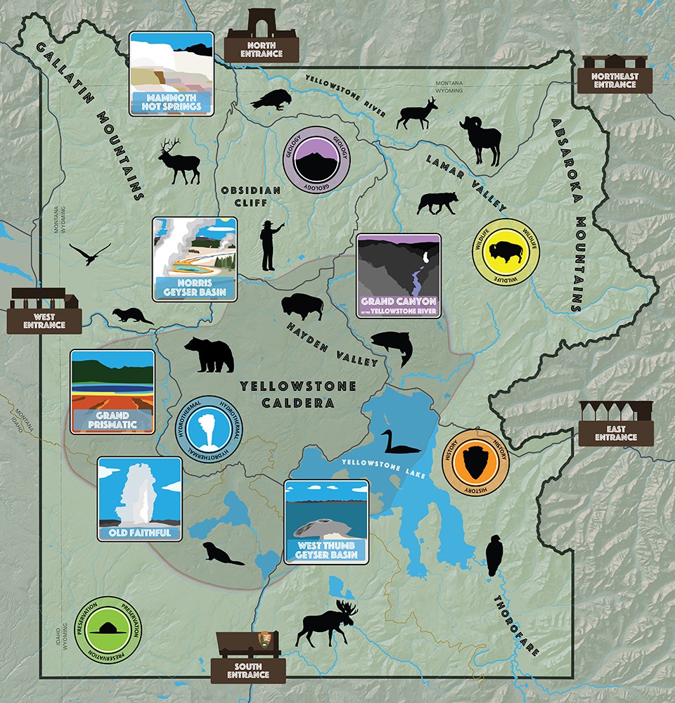 Yellowstone Wildlife Maps
