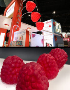 Giant illuminated raspberry light fixtures with metallic stems fabricated for a trade show booth display.