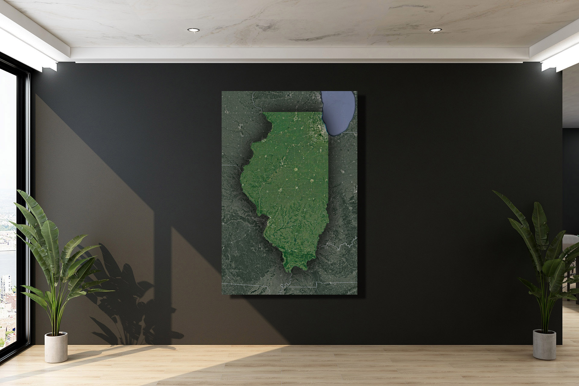 Illinois Satellite Wall Map