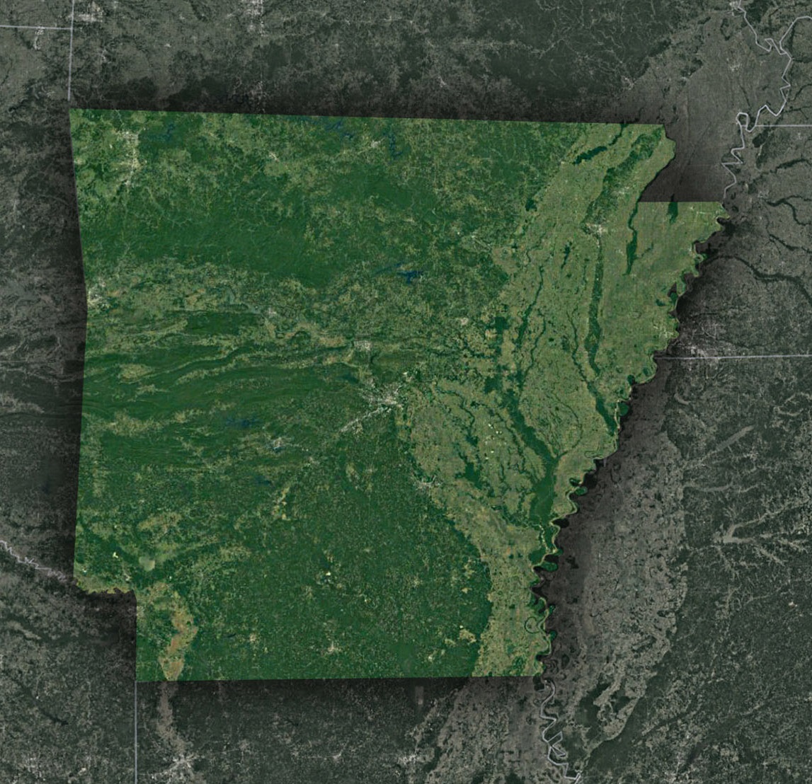 Arkansas Satellite Map