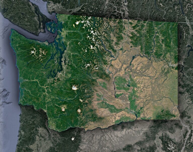 Washington State Satellite Map