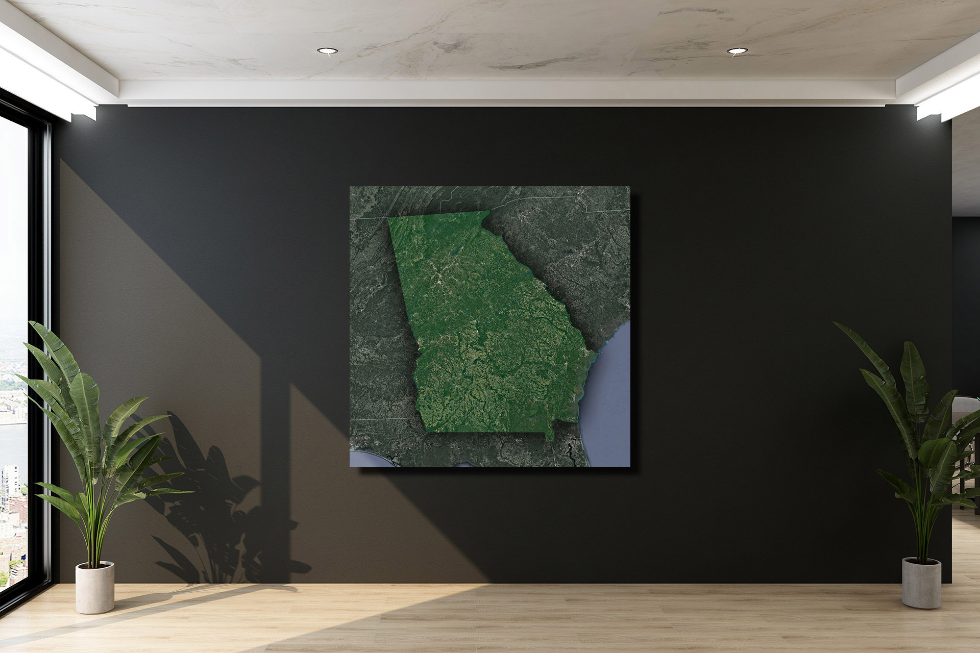 Satellite Wall Map of Georgia