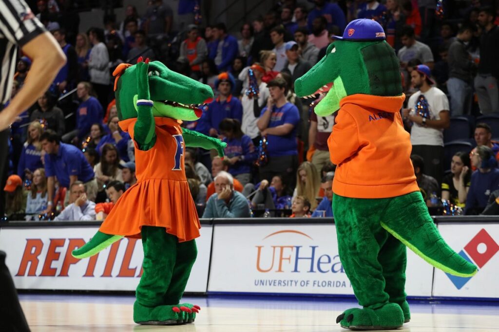 Gator Growls and Buzzer Beaters Florida's Basketball Ecosystem