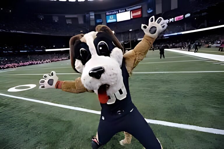 NFL-Mascots-Gumbo-Saints