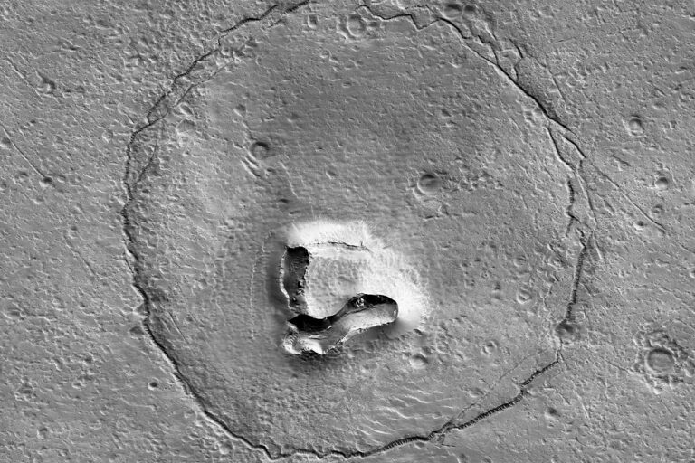 Bear on Mars - HiRISE Image-ESP_076769_1380