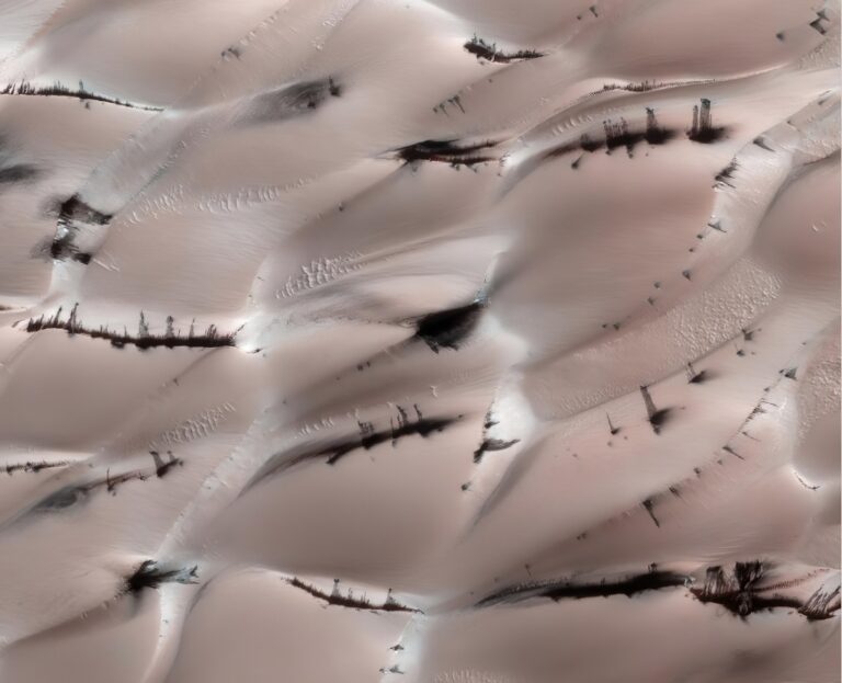 Icy Northern Dunes - HiRISE Image-ESP_017043_2640