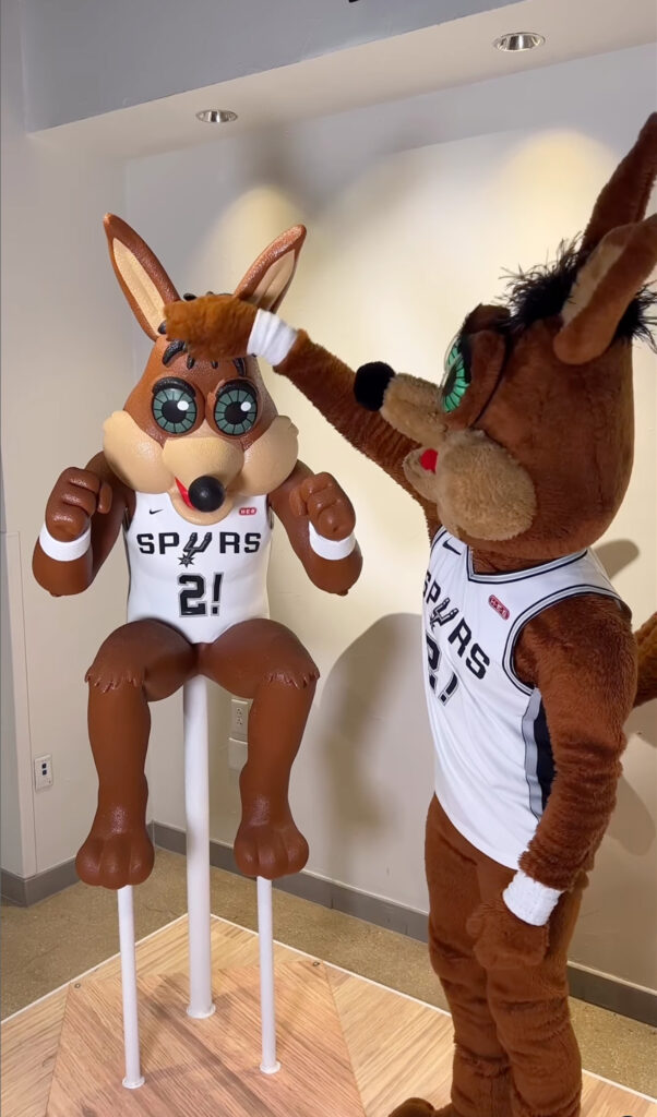 NBA San Antonio Spurs Coyote Mascot statue display. Pictured here with the actual Spurs Coyote Mascot