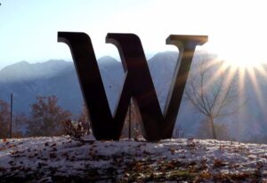 Waterford Alumni Metal Letters