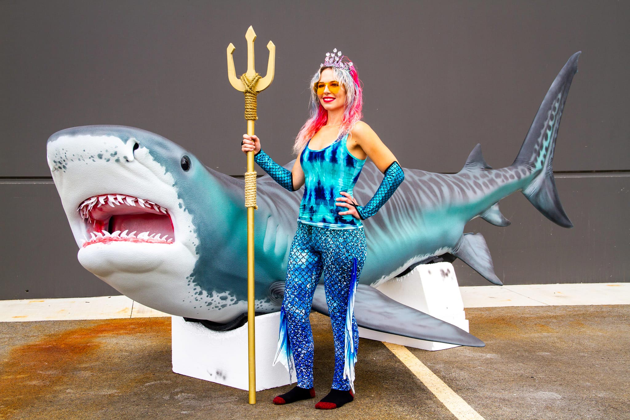 Life size Tiger Shark model made for Six Flags amusement park.
