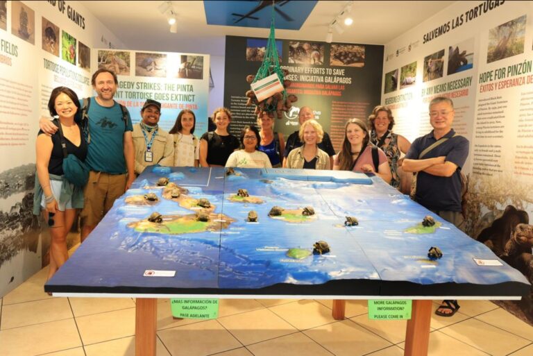 3D topographical map of the Galápagos Island chain created to support the Galápagos Conservancy’s mission to protect and restore the islands and their unique biodiversity.