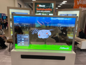 Alltech Cow Statue with OLED transparent movie overlay