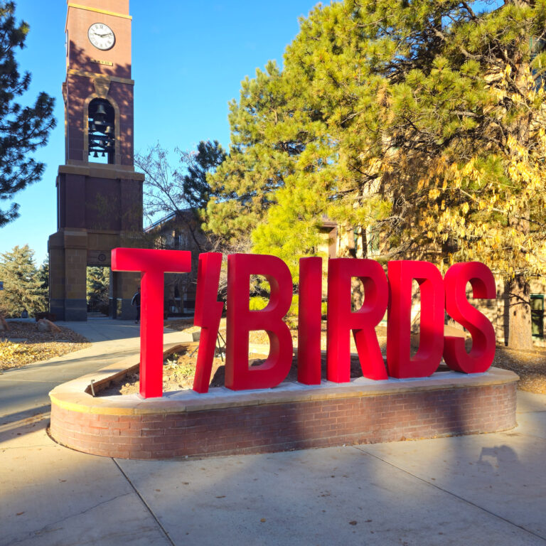Southern Utah University Utah T-Birds giant metal letter campus display sign