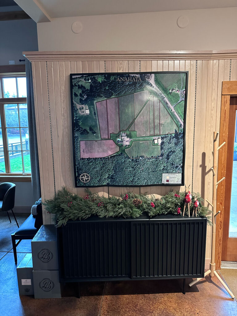 wo 3D topographical aerial view maps created for the AtTheJoy vineyard in Oregon, displayed permanently in the tasting rooms with custom contour-following shadowbox bases.