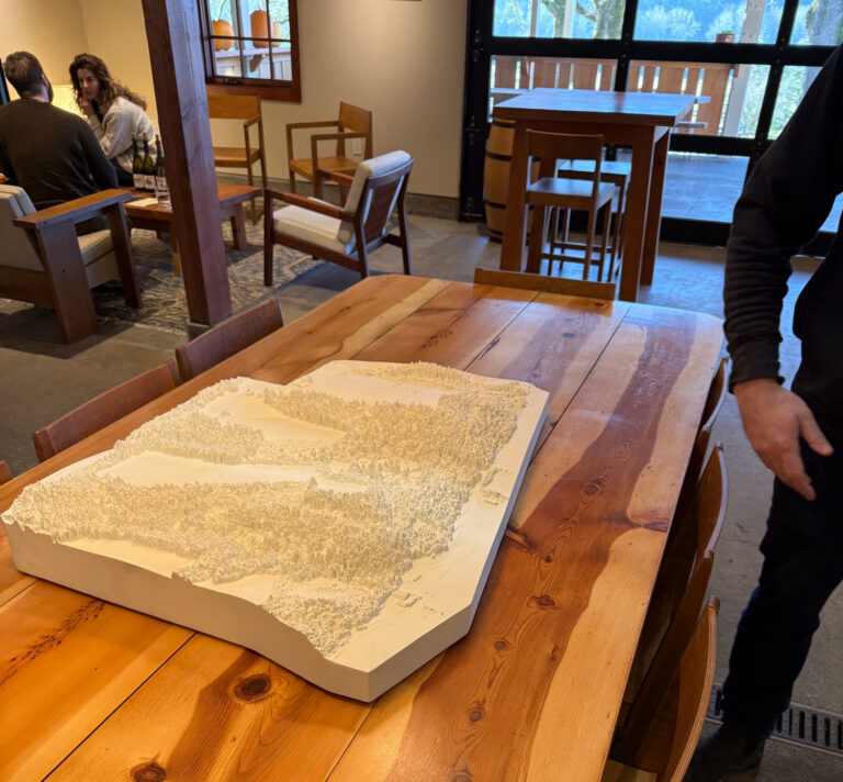 3D topographical model of the Beaux Frères Winery in Oregon, designed to resemble a plaster casting while providing a durable, stain-resistant display for the tasting room.