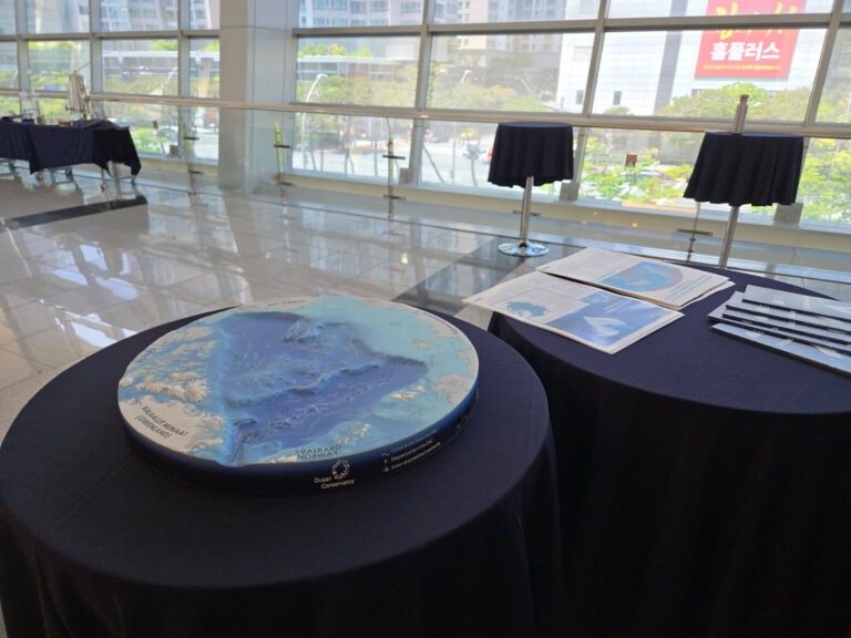 3D topographic map of the Arctic Ocean created to promote the Heart of the Arctic at the Our Ocean conference in Korea.
