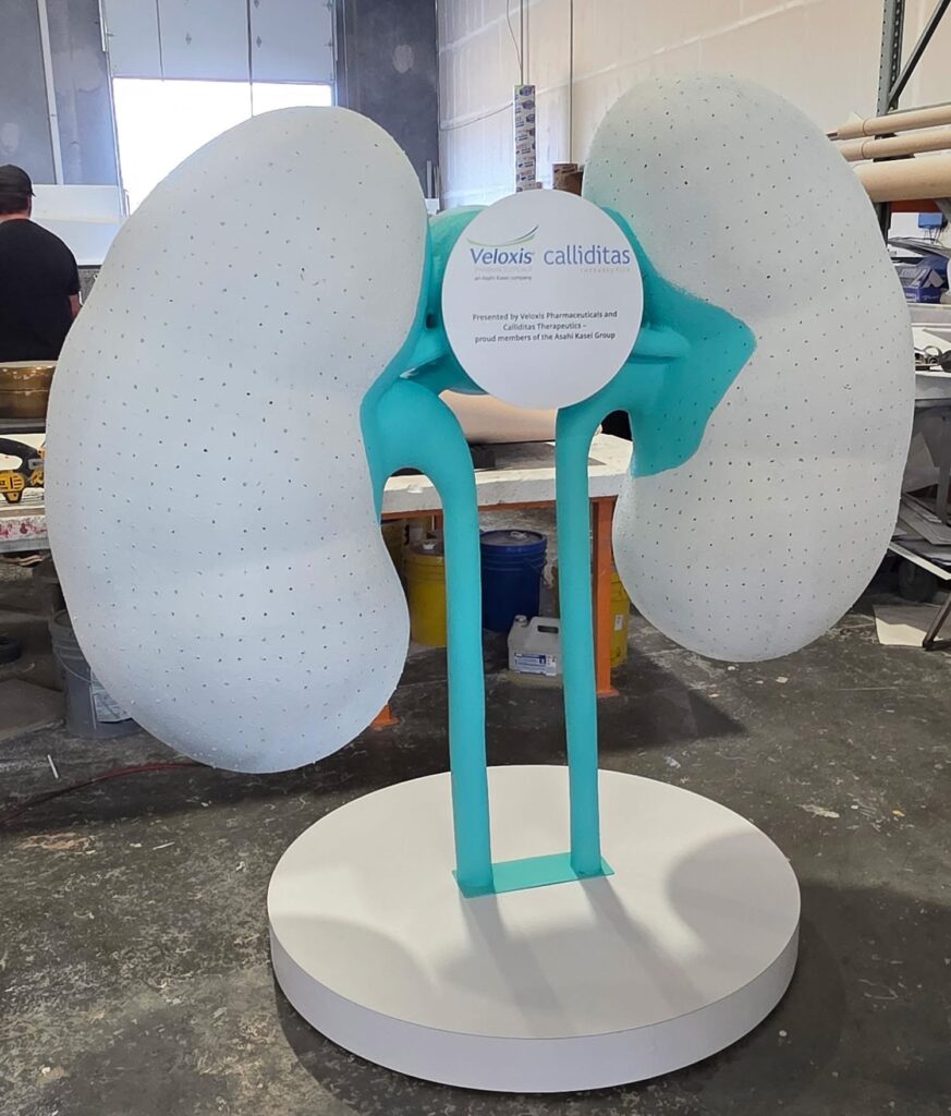 Pre Flower Kidney Display