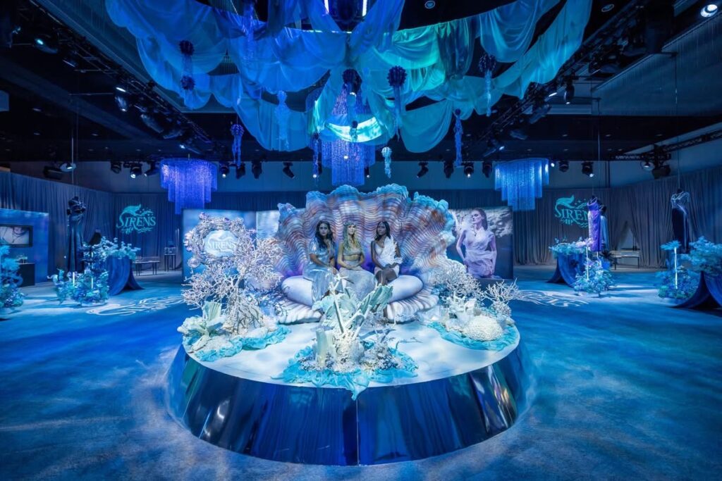 Seashell Display at Event