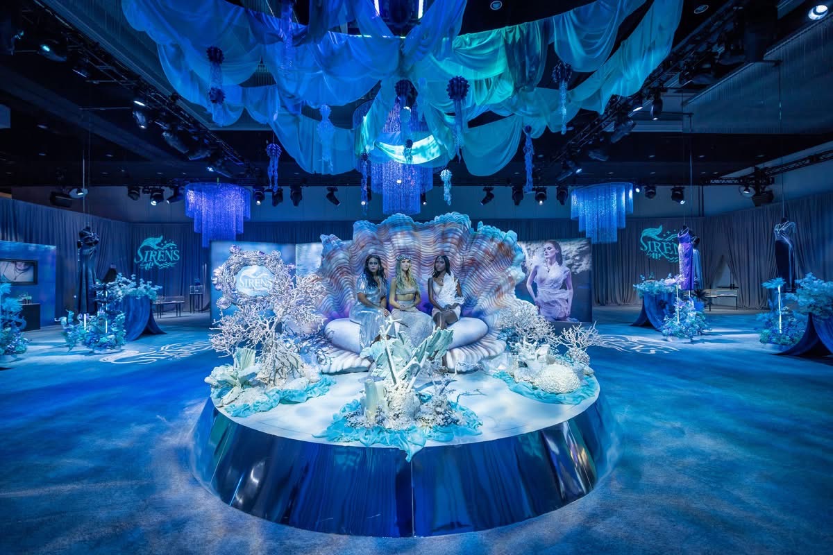 Wide view of an immersive seashell display
