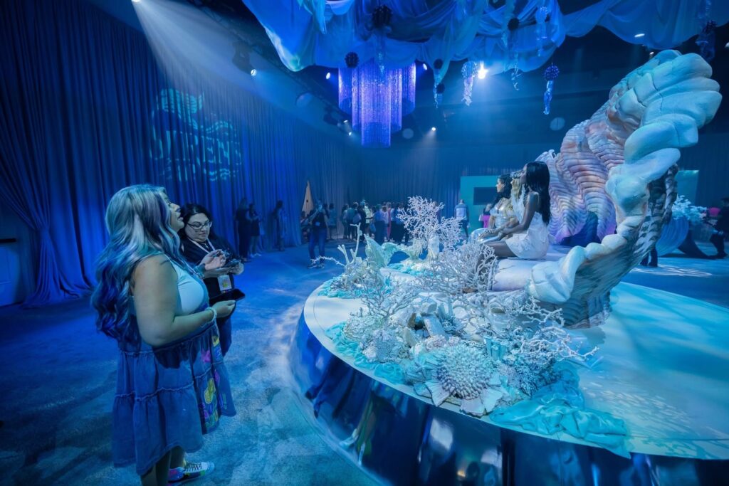 Bomb Parties Seashell Display