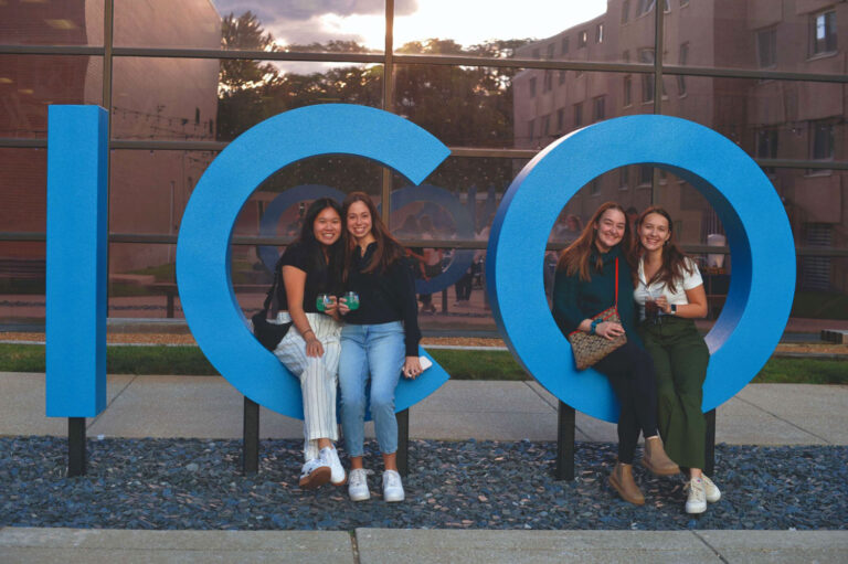Illinois College of Optometry ICO Giant Metal Campus Letters