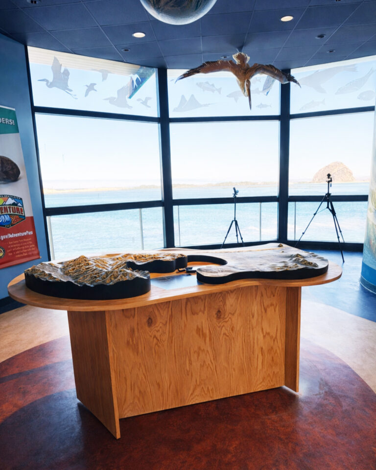 Morro Bay Museum of Natural History 3D Raised Relief Topographical Map Display with legend and base