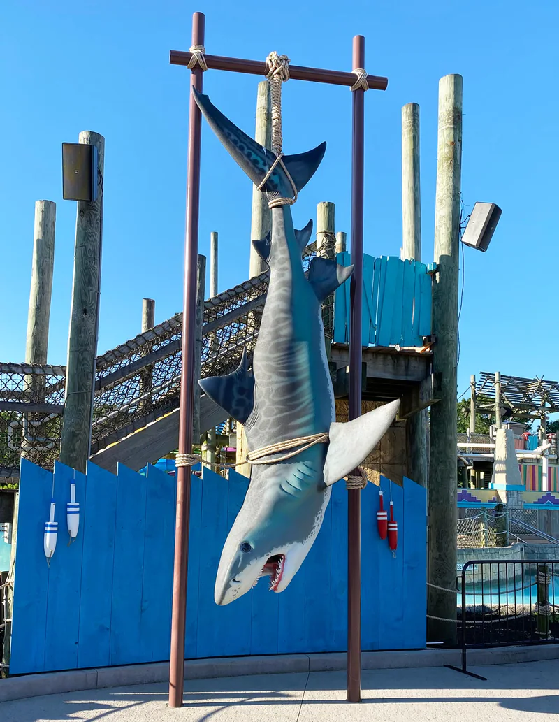 Completed tiger shark foam sculpture installed at its final location.