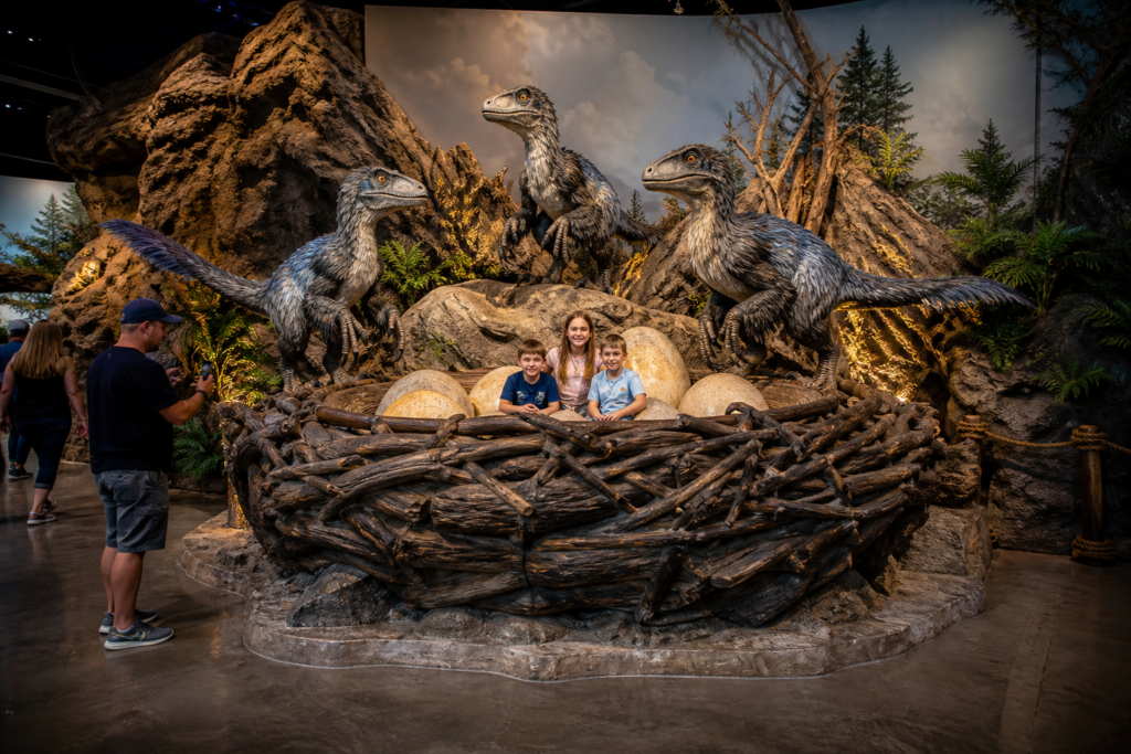 DINO-516 Raptor Nest Photo Set