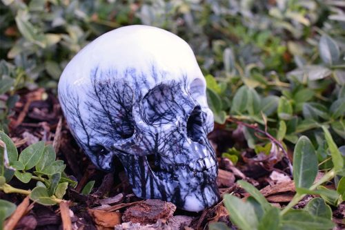 3d art of a skull with a forest pattern