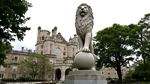 Giant Lion Statue-Library