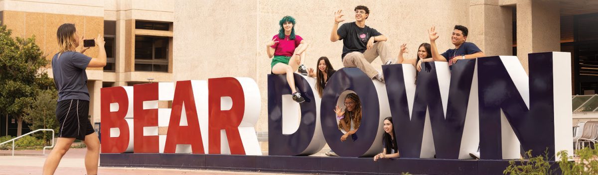 University of Arizona Bear Down Metal Letter Campus Landmark