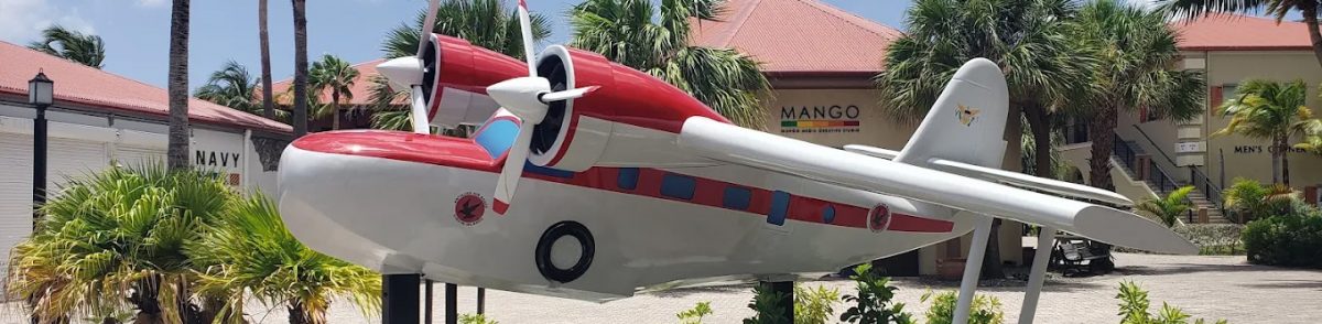 WhiteClouds fabricated the Grumman Goose G-21A Half-Scale Seaplane Replica.